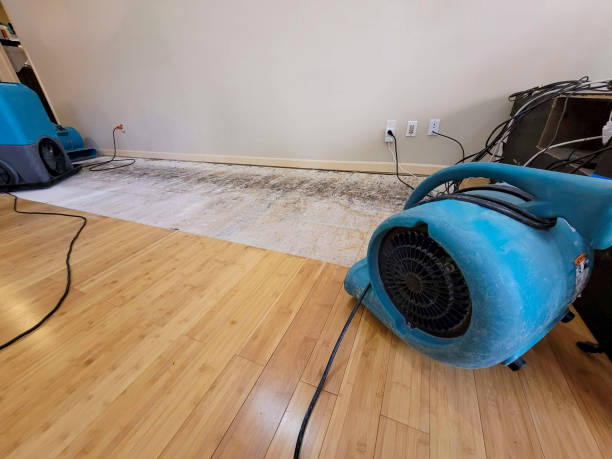 Reliable Basement Flood Cleanup contractor in Mountainside, NJ by Hirex Water Damage
