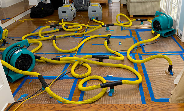 Professional Basement Flood Cleanup technician working in Mountainside, NJ